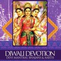 Lakshmi Stotra (From "Shree Vishnu Mahapuraan") Sadhana Sargam Song Download Mp3