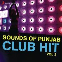 Sounds Of Punjab Club Hit, Vol. 2 songs mp3