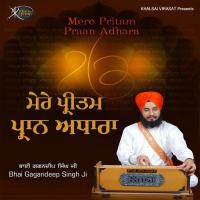 Mere Pritam Praan Adhaara Bhai Gagandeep Singh Ji Song Download Mp3