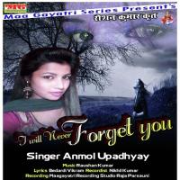 Roje Ansua Bahabe Naina Ye Raja Anmol Upadhyay Song Download Mp3