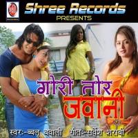 Gori Tor Jawani songs mp3