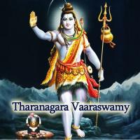 Dhareya Janara Chandrashekar Lingadalli Song Download Mp3