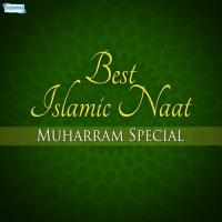 Best Islamic Naat - Muharram Special songs mp3