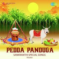 Pedda Panduga - Sankranthi Special Songs songs mp3