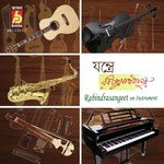 Sarthok Janmo Amar Janmechi Ei Deshe V. Balsara Song Download Mp3