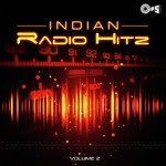 Indian Radio Hitz Volume 2 songs mp3