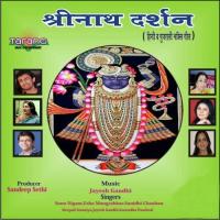 Shreenath Darshan songs mp3