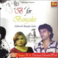 Aami Dekhechhi Tare B Song Download Mp3