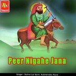Peer Nigahe Jana Sohan Laal Saini,Sukhwinder Rana Song Download Mp3