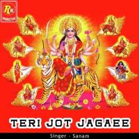 Teri Jot Jagaee Sanam Song Download Mp3