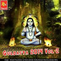 Guldasta 2014 Vol. 2 songs mp3