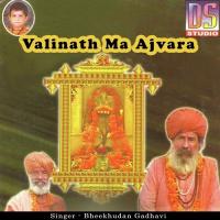 Halo Javi Valinath Dham Bhikhudan Gadhavi Song Download Mp3