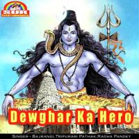 Dewghar Ka Hero songs mp3