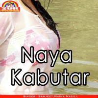 Naya Kabutar songs mp3