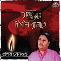 Sobar Mone Dipali Jalate songs mp3