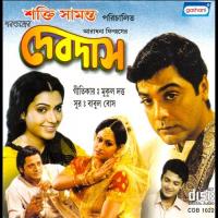 Devdas songs mp3