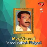 Mur Wareed, Vol. 28 songs mp3