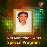 Special Program - Vol. 31 songs mp3