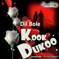 Dil Bole Kookdukoo songs mp3