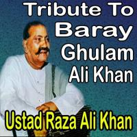 Wo Jo Tum Mein Hum Mein Qarar Tha Ustad Raza Ali Khan Song Download Mp3