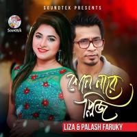 Shon Na Re Please Liza,Palash Faruky Song Download Mp3