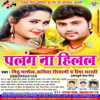 Dil Ho Gaya Diwana Mithu Marshal Song Download Mp3