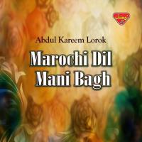Marochi Dil Mani Bagh, Vol. 1 songs mp3