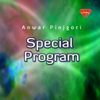 Salamat Be Be Anwar Pinjgori Song Download Mp3