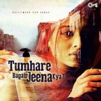 Dil Tumhare Bina (From "36 China Town") Himesh Reshammiya,Alka Yagnik Song Download Mp3