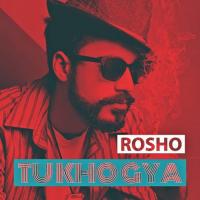 Tu Kho Gaya Rosho Song Download Mp3