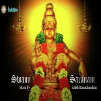 Swami Saranam songs mp3