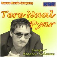 Tere Naal Pyar Pake Verne Umra Da Gum Choli Master Salim Song Download Mp3