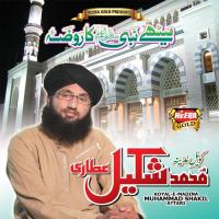 Meethe Nabi Ka Roza songs mp3