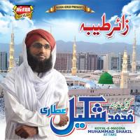 Sar Hai Kham Muhammad Shakil Attari Song Download Mp3
