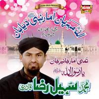 Tumi Amar Janiray Jaan Muhammad Sohail Raza Qadri Song Download Mp3