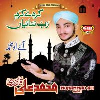 Lab Pe Aati Hai Dua Muhammad Ali Qadri Song Download Mp3