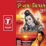 Om Namah Shivay (Dhun) songs mp3