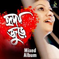 Poddo Pata Milon Mahmud Song Download Mp3