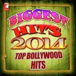 Biggest Hits 2014 - Top Bollywood Hits songs mp3