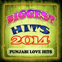 Biggest Hits 2014 - Punjabi Love Hits songs mp3