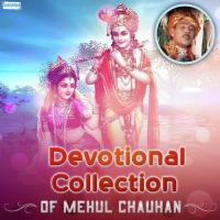 Devotional Collection Of Mehul Chauhan songs mp3