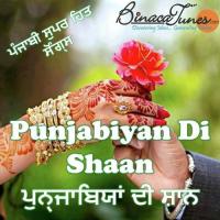 Punjabiyan Di Shaan Anupama Song Download Mp3