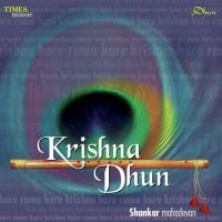 Hare Rama Hare Rama, Rama Rama Hare Hare Shankar Mahadevan Song Download Mp3