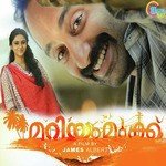 Swargam Thurannu Vidyasagar Song Download Mp3