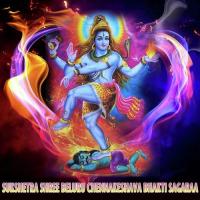 Sukshetra Shree Beluru Chennakeshava Bhakti Sagaraa songs mp3