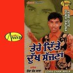 Ter Ditte Dukh Sajna Gora Chak Wala Song Download Mp3