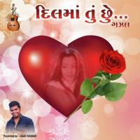 Aapna Tahuka Gaganma Gunjse Gayatri Bhatt,Rishabh Mehta Song Download Mp3
