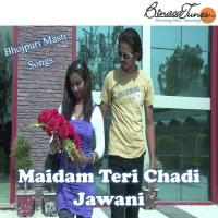 Maidam Teri Chadi Jawani I songs mp3