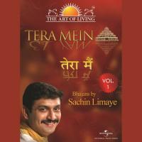 Sri Krishna Krishna Yadu Sachin Limaye Song Download Mp3