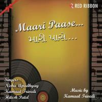 Chal Ne Ramiye Pal Be Pal Nisha Upadhyay,Kamal Trivedi Song Download Mp3